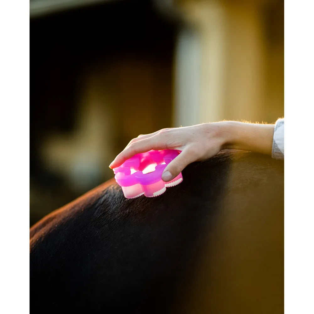 Shed Flower