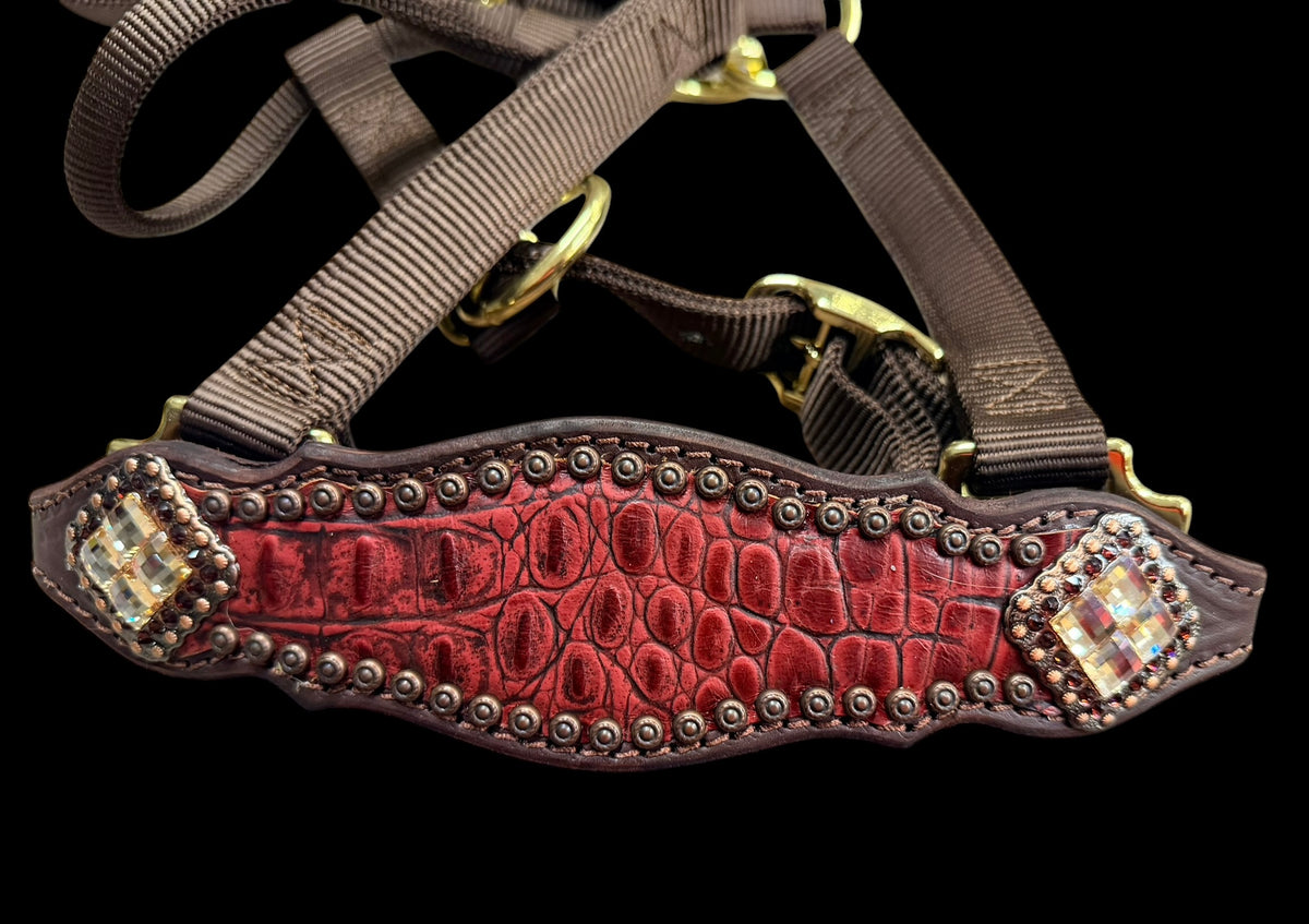 Wine gator on dark leather