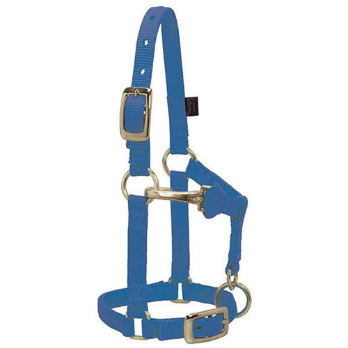 Miniature Horse Adjustable Chin & Throat Snap Halter