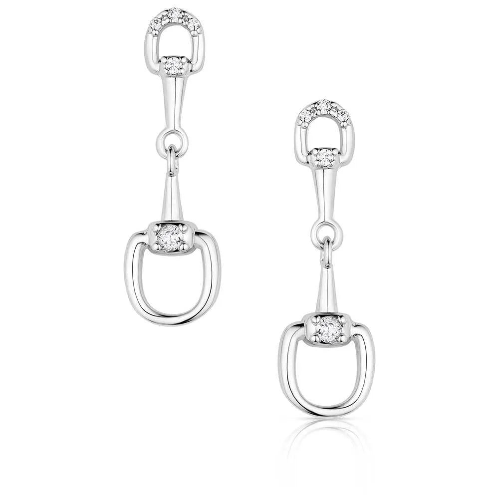 Enjoy The Ride Earrings QER6084