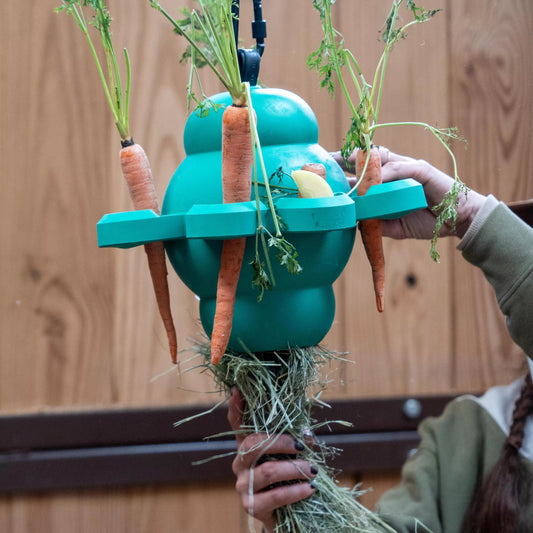 PetKORE Clover Ball for Equine