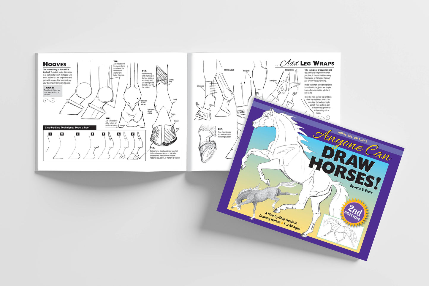 Art Book Horse Equestrian / Anyone Can Draw Horses / All age