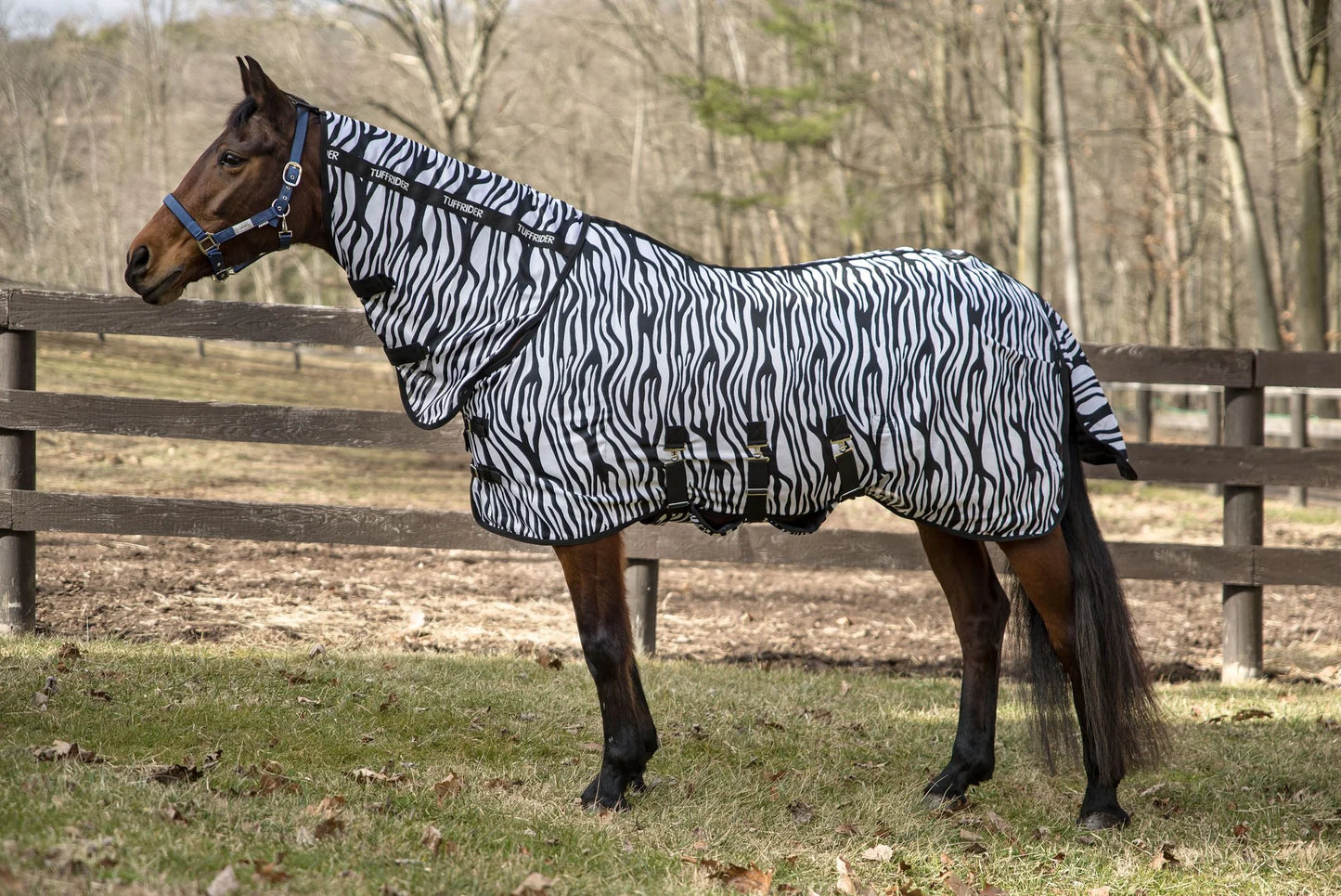 COMFY PLUS COMBO NECK ZEBRA PRINT FLY SHEET