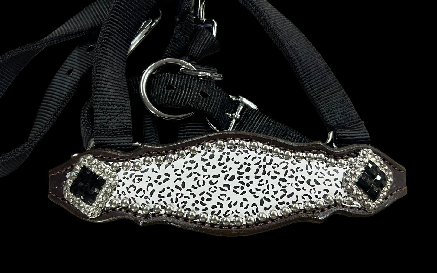 Snow leopard on dark leather