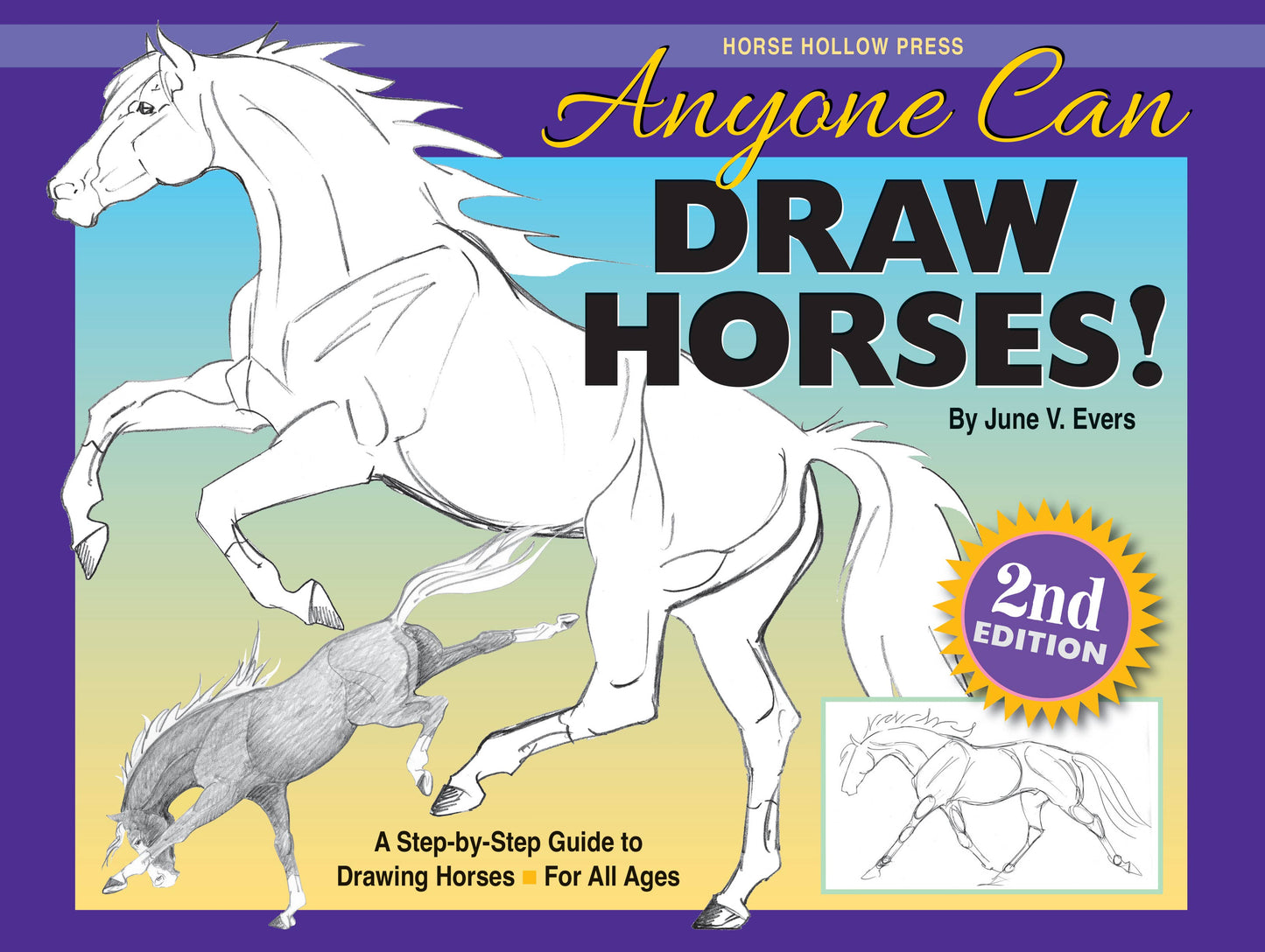 Art Book Horse Equestrian / Anyone Can Draw Horses / All age