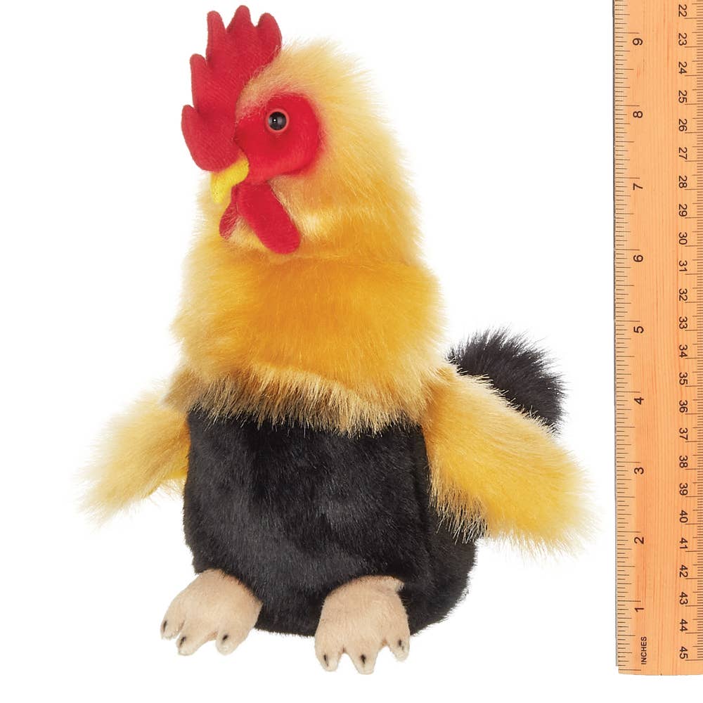 Roy the Rooster