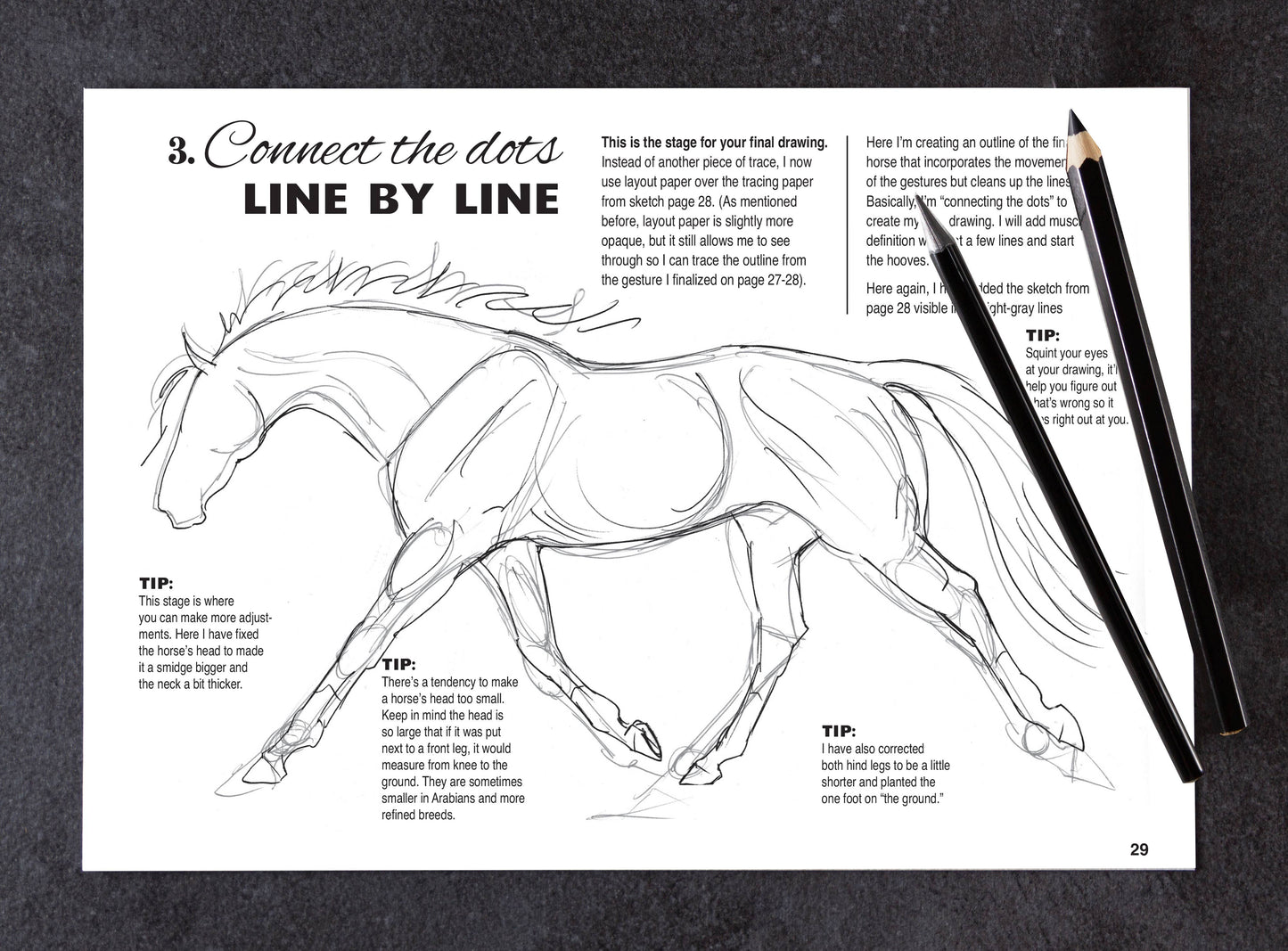Art Book Horse Equestrian / Anyone Can Draw Horses / All age