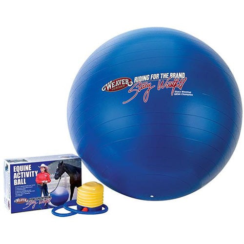 Stacy Westfall Activity Ball, Medium