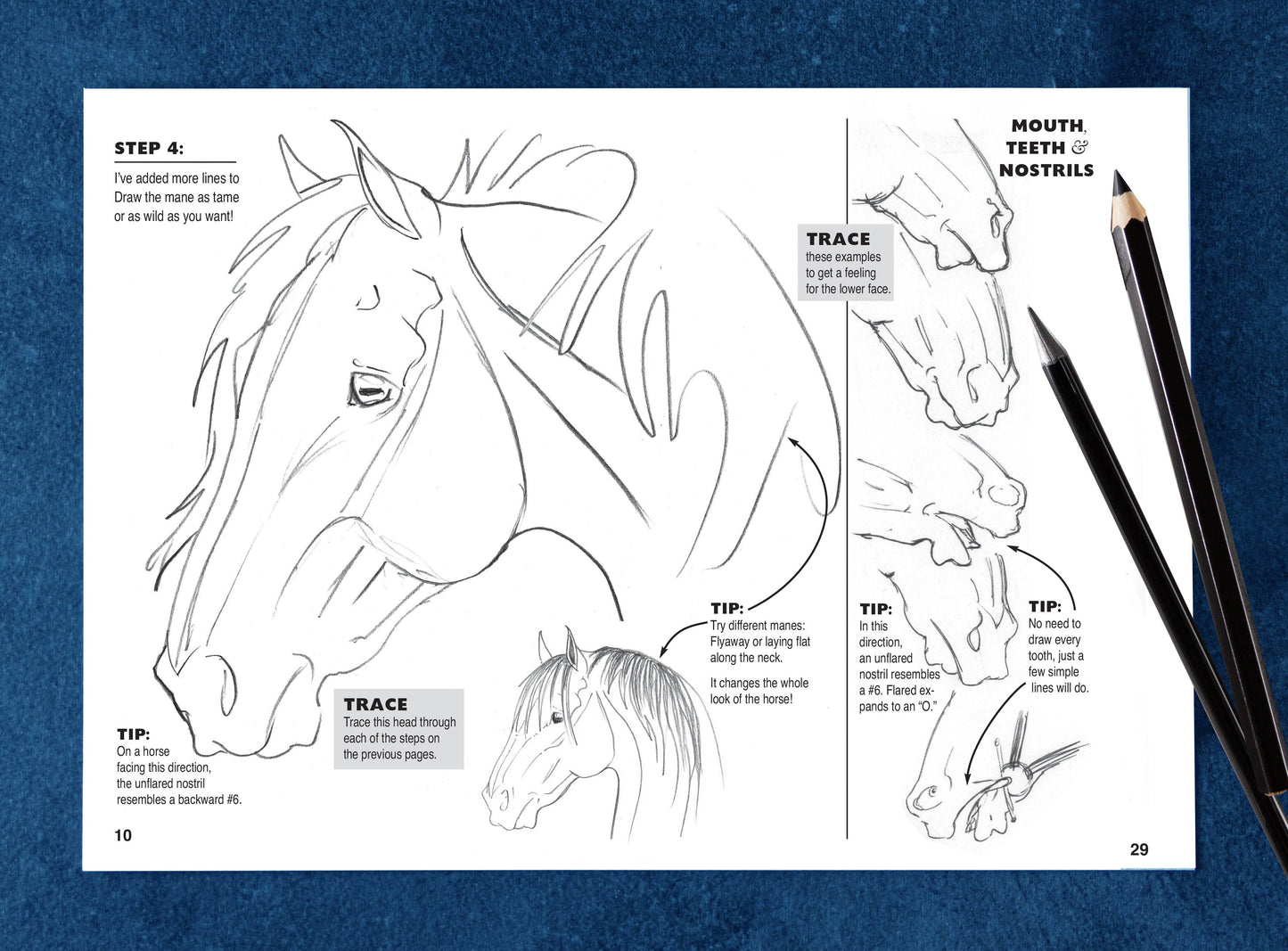 Art Book Horse Equestrian / Anyone Can Draw Horses / All age
