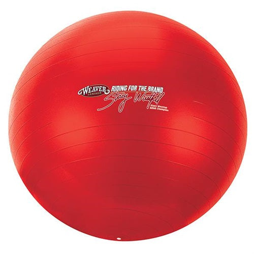 Stacy Westfall Activity Ball, Large