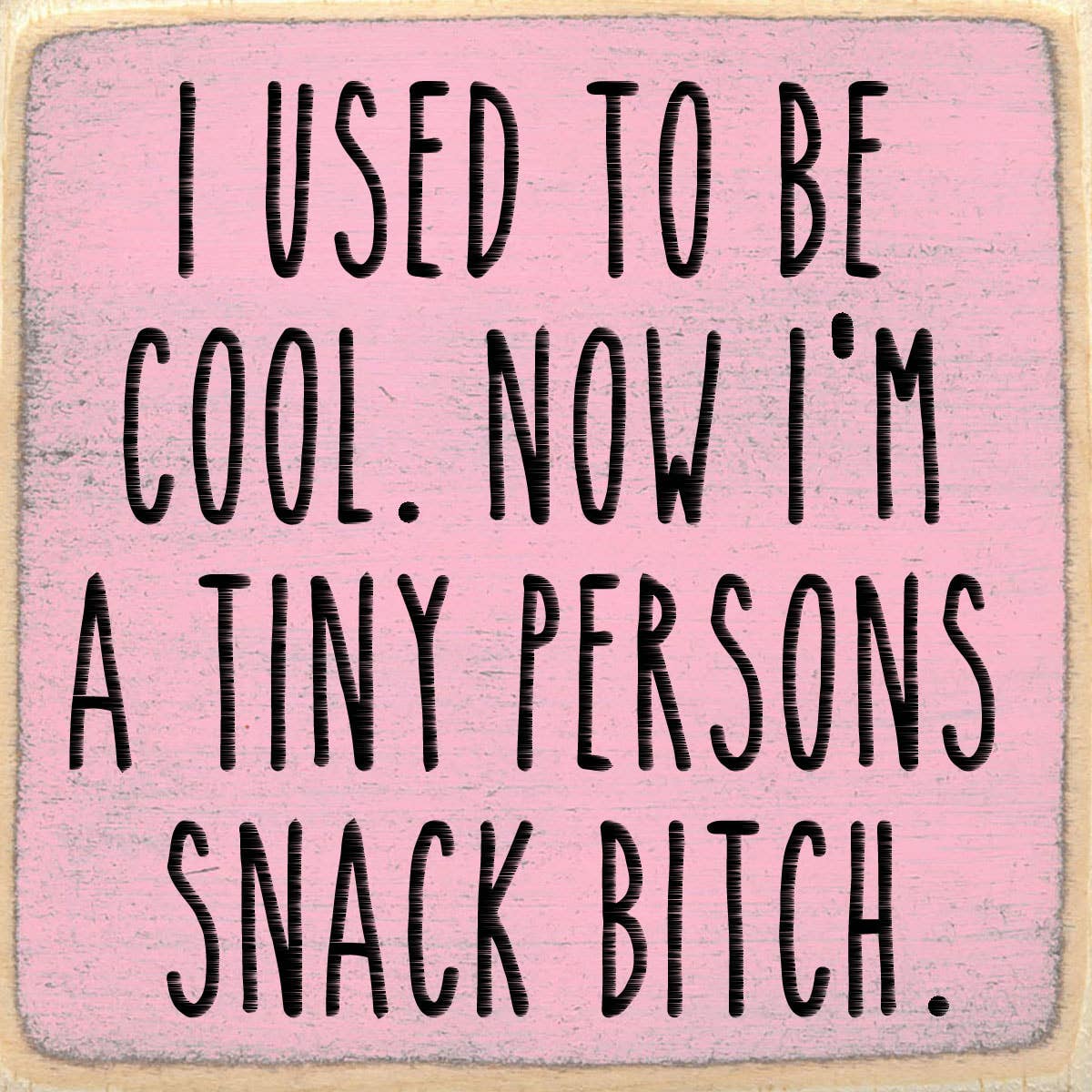 4X4-243 Snack Bitch Shelf Sitter