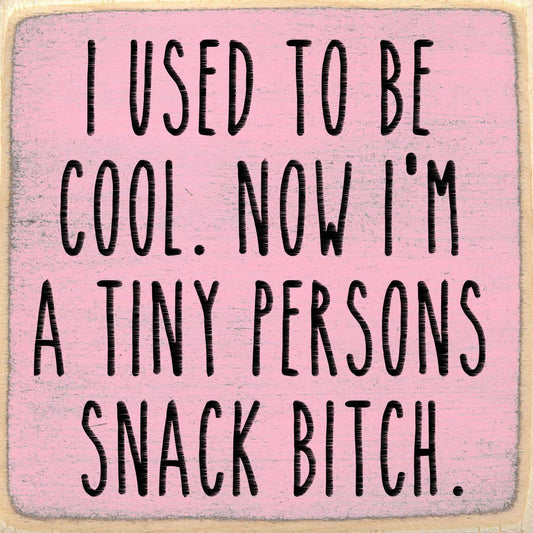 4X4-243 Snack Bitch Shelf Sitter