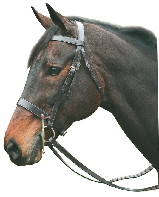 HENRI DE RIVEL ADVANTAGE HUNT BRIDLE