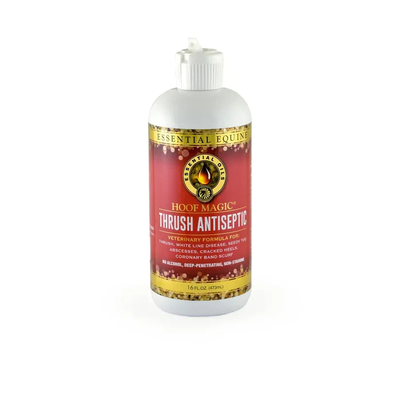 Essential Equine HOOF MAGIC Thrush Antiseptic 16 oz.