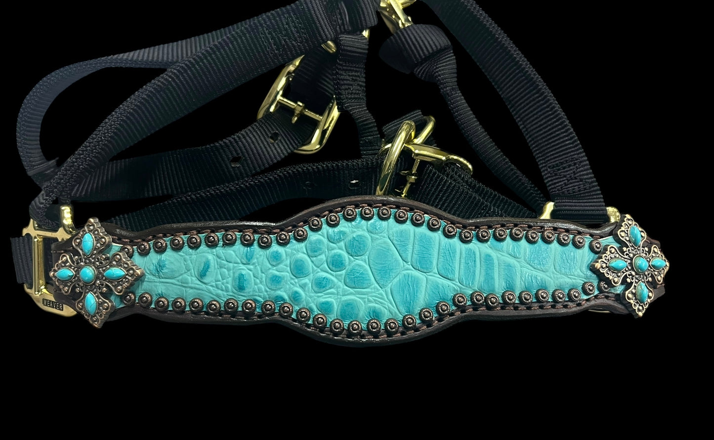Turquoise gator on dark leather