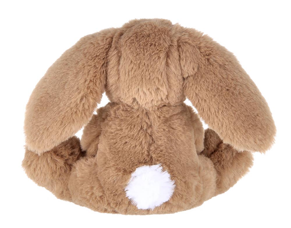 Lil' Benny the Brown Bunny