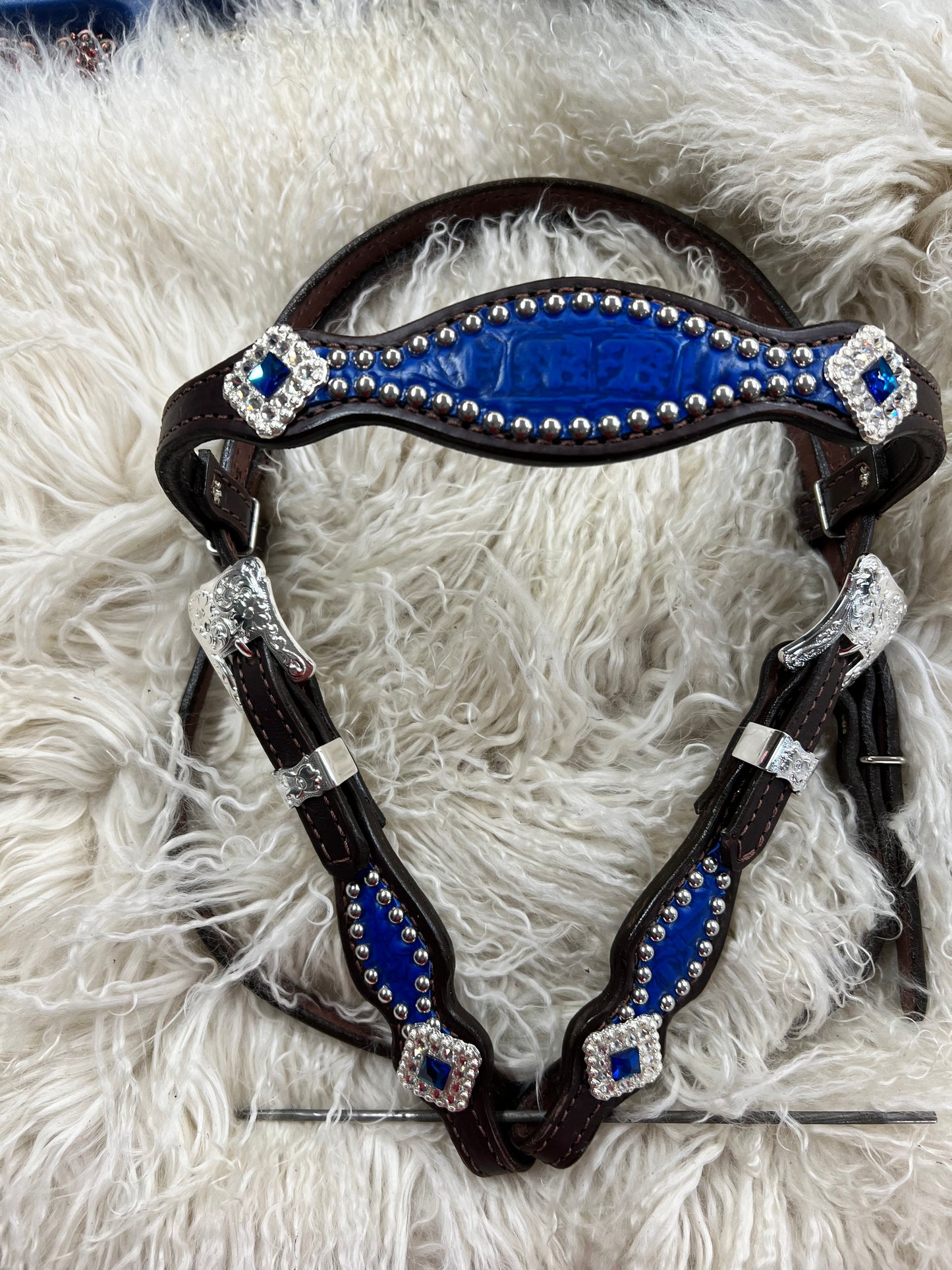 Blue gator on dark leather with blue rhinestones