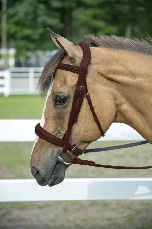 Mono-Crown Padded Wide Noseband Bridle Havana - Horse