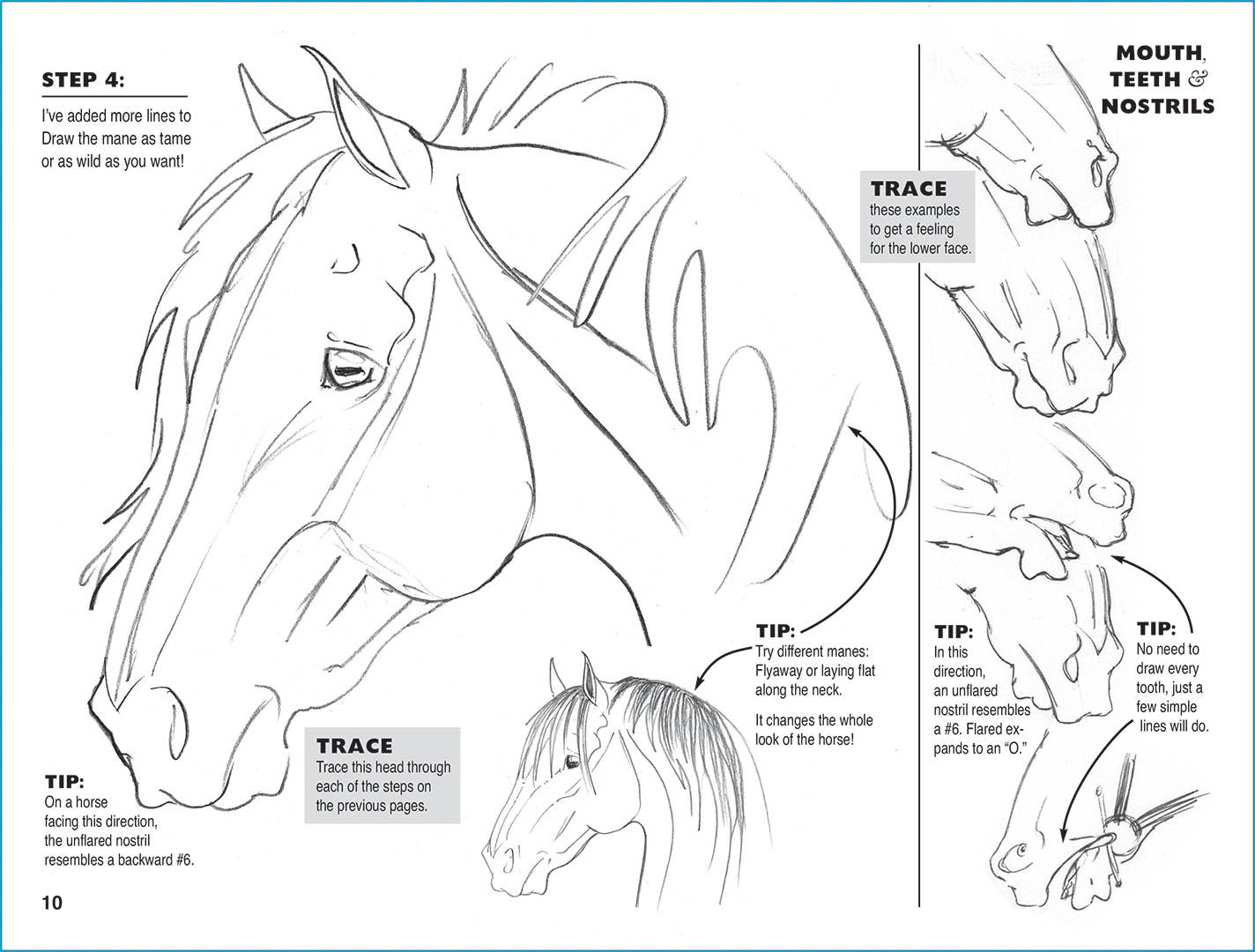 Art Book Horse Equestrian / Anyone Can Draw Horses / All age