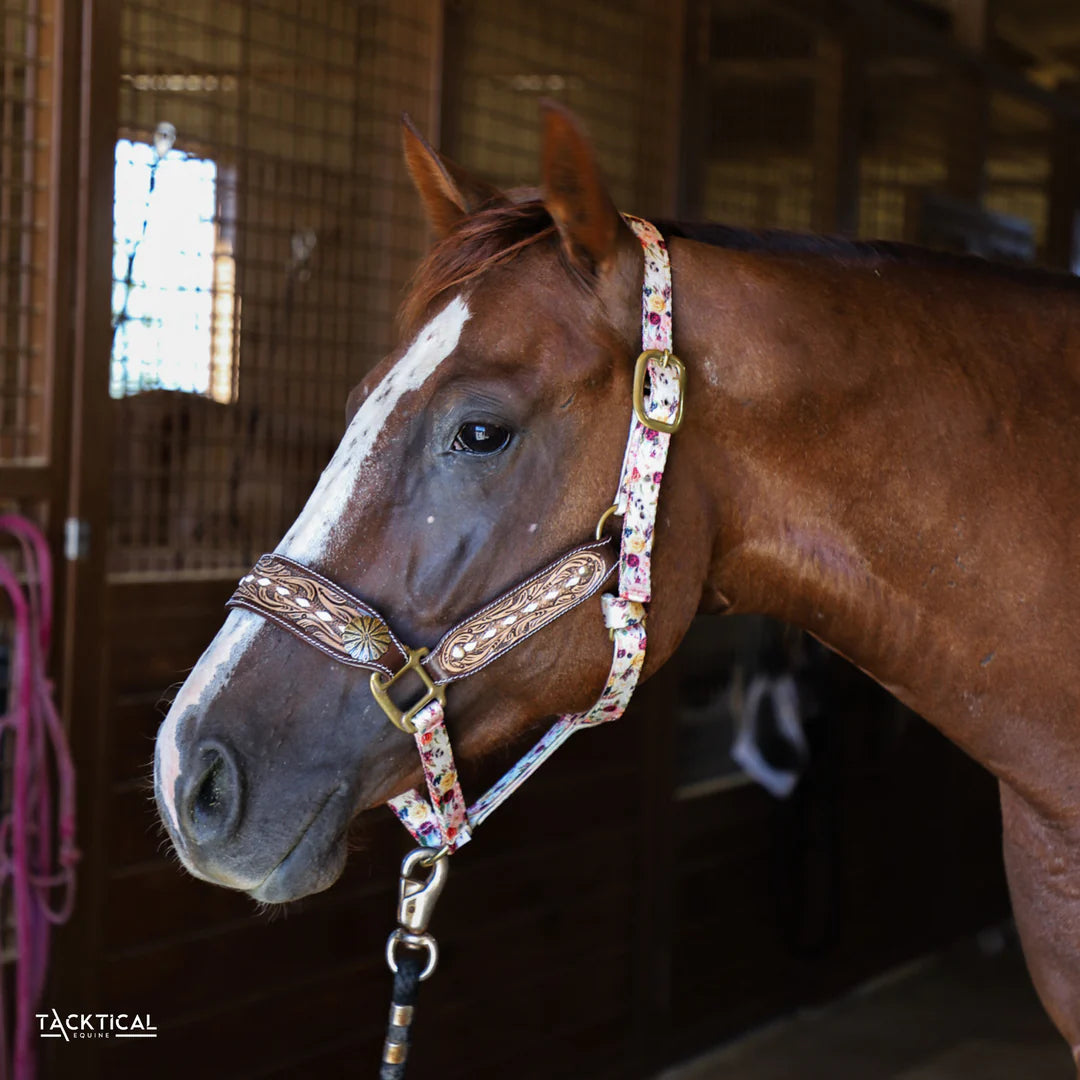 TOOLED LEATHER BRONC HALTER BY TACKTICAL