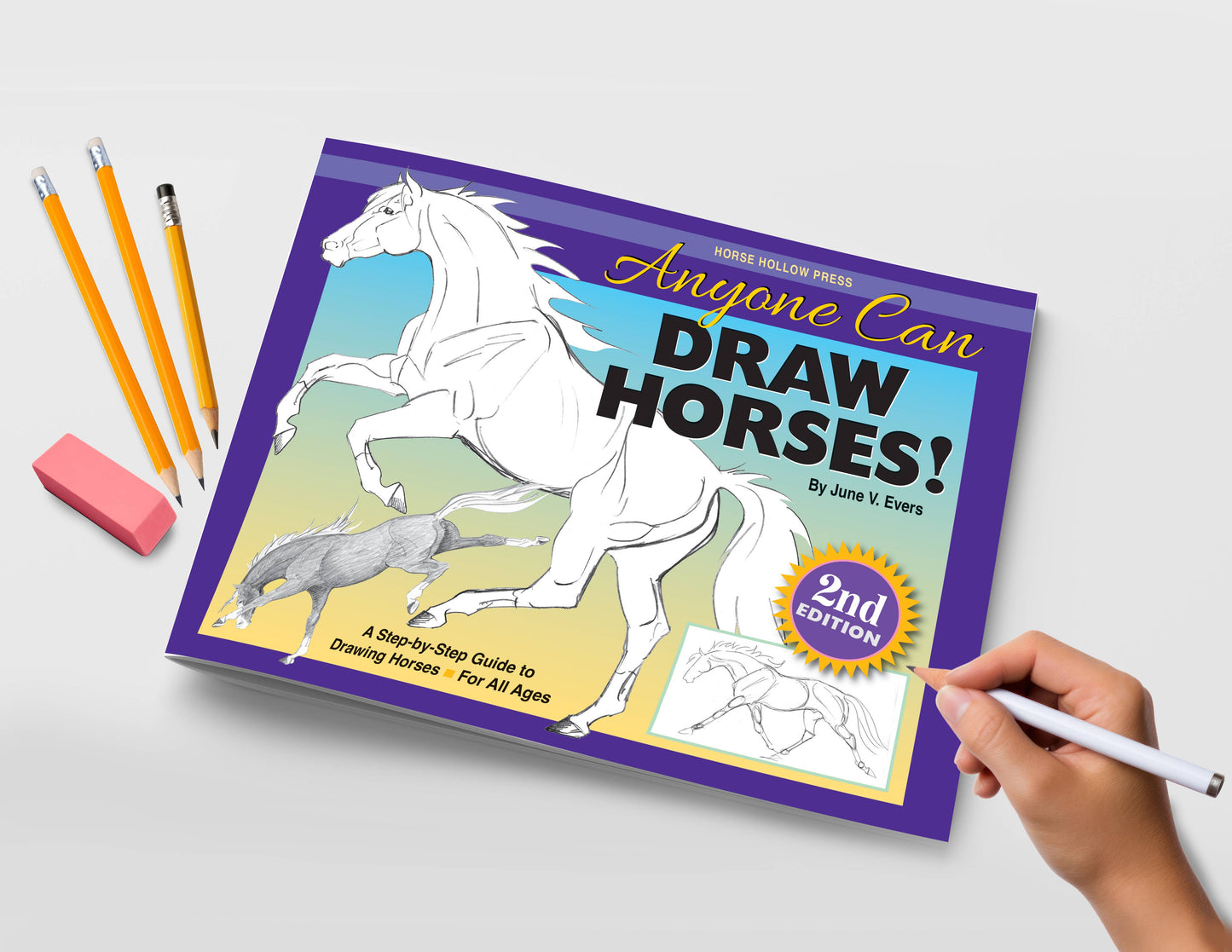 Art Book Horse Equestrian / Anyone Can Draw Horses / All age