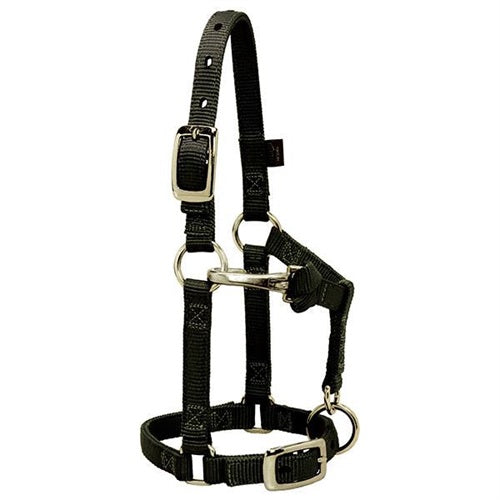 Miniature Horse Adjustable Chin & Throat Snap Halter (Large)