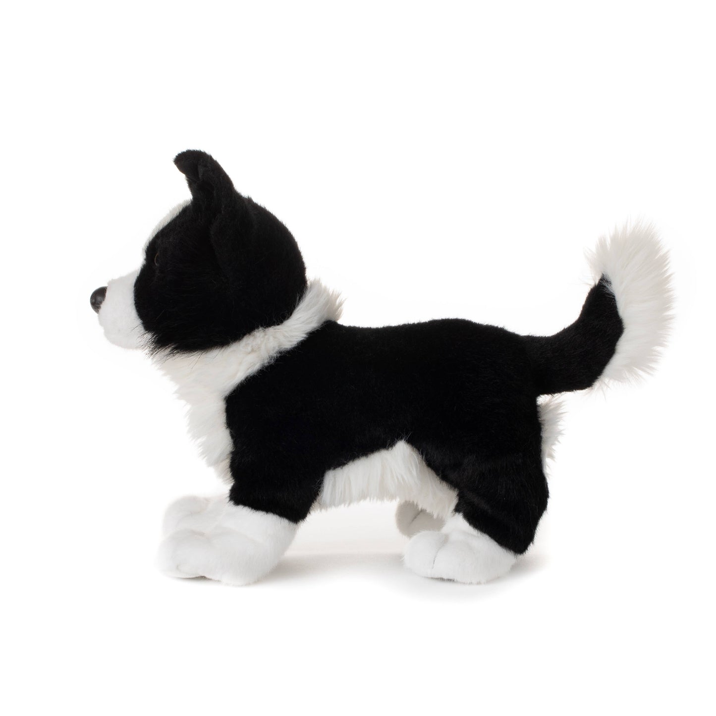 New Border Collie Dog Medium 10" (26cm)