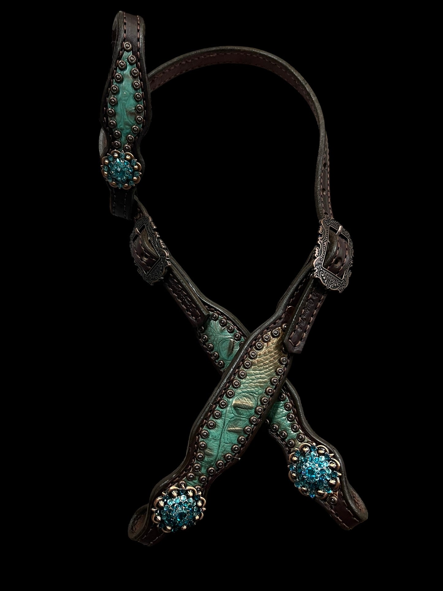 Brown and teal gator on dark leather