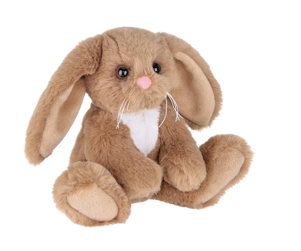 Lil' Benny the Brown Bunny