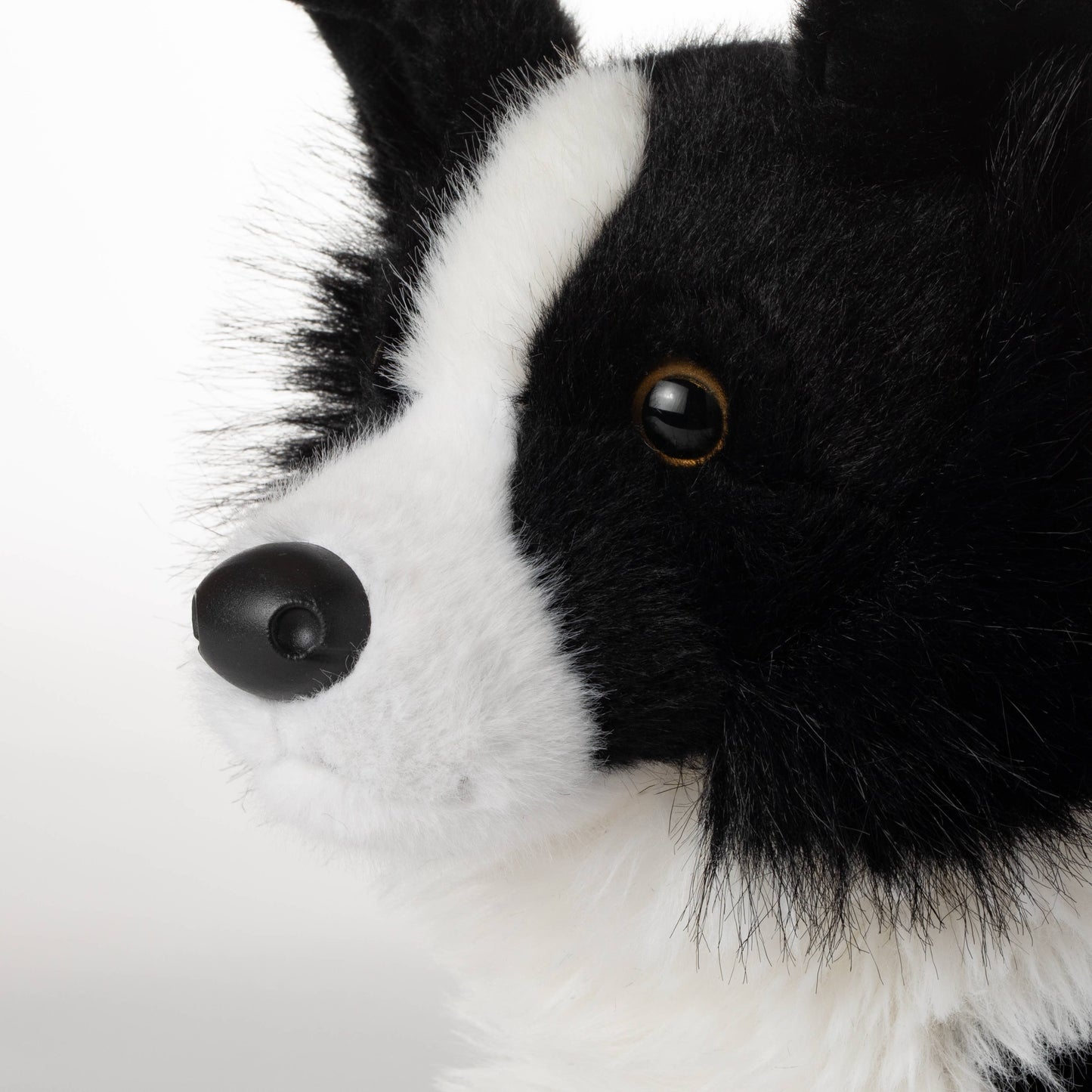 New Border Collie Dog Medium 10" (26cm)