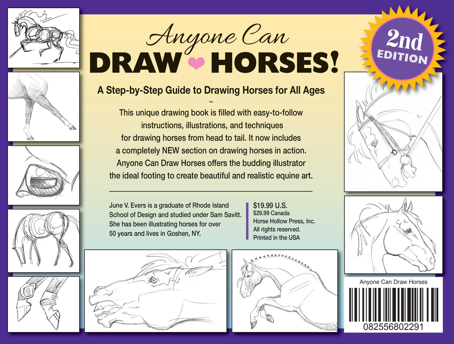 Art Book Horse Equestrian / Anyone Can Draw Horses / All age