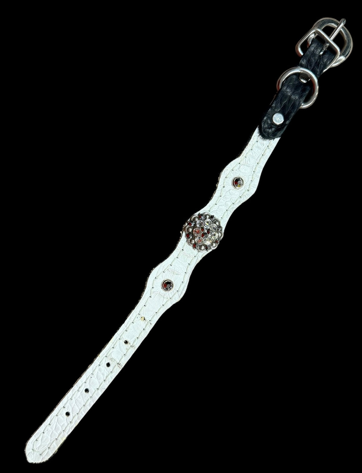 White with silver tips gator on dark leather