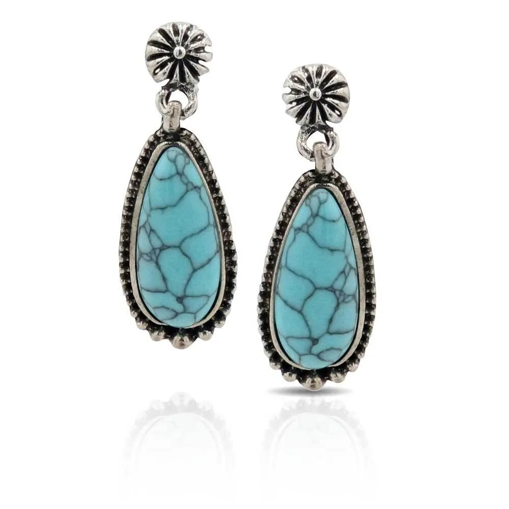 Blue Aster Turquoise Teardrop Attitude Earrings