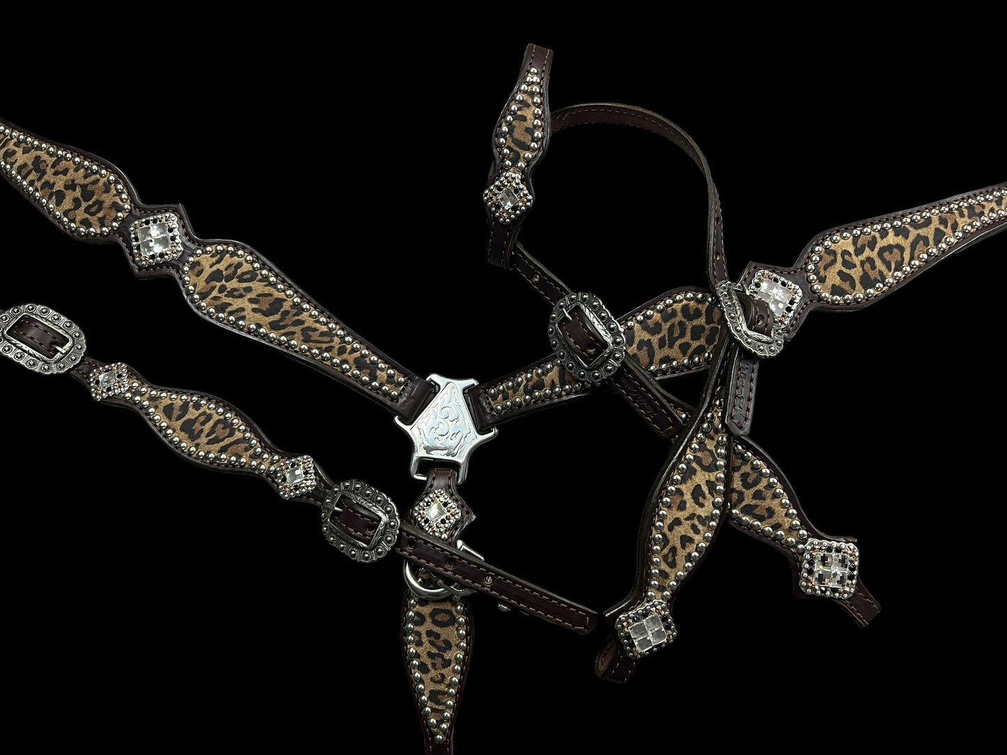 Leopard on dark leather