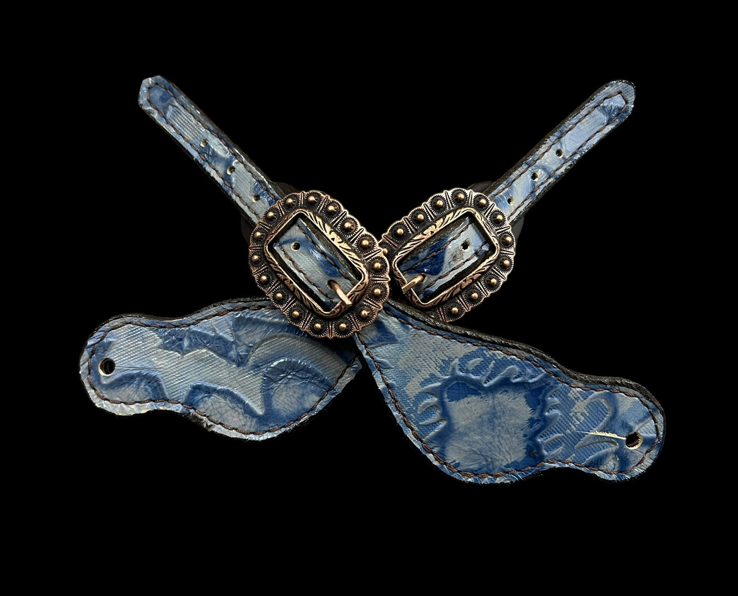 Blue Laredo on chocolate leather