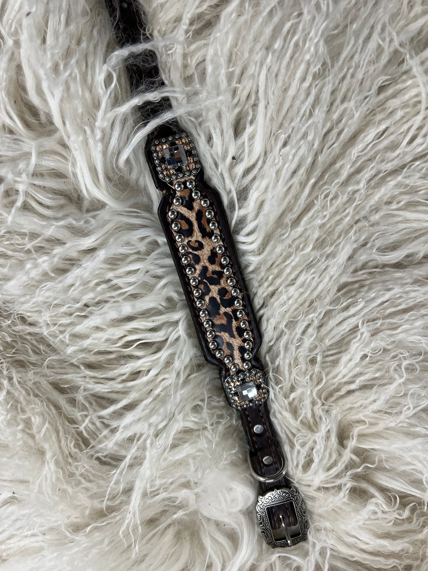 Leopard on dark leather