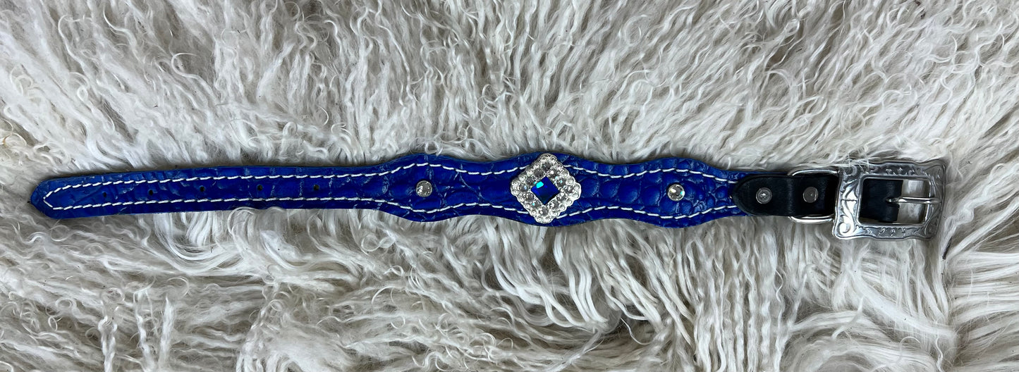 Blue gator on dark leather with blue rhinestones