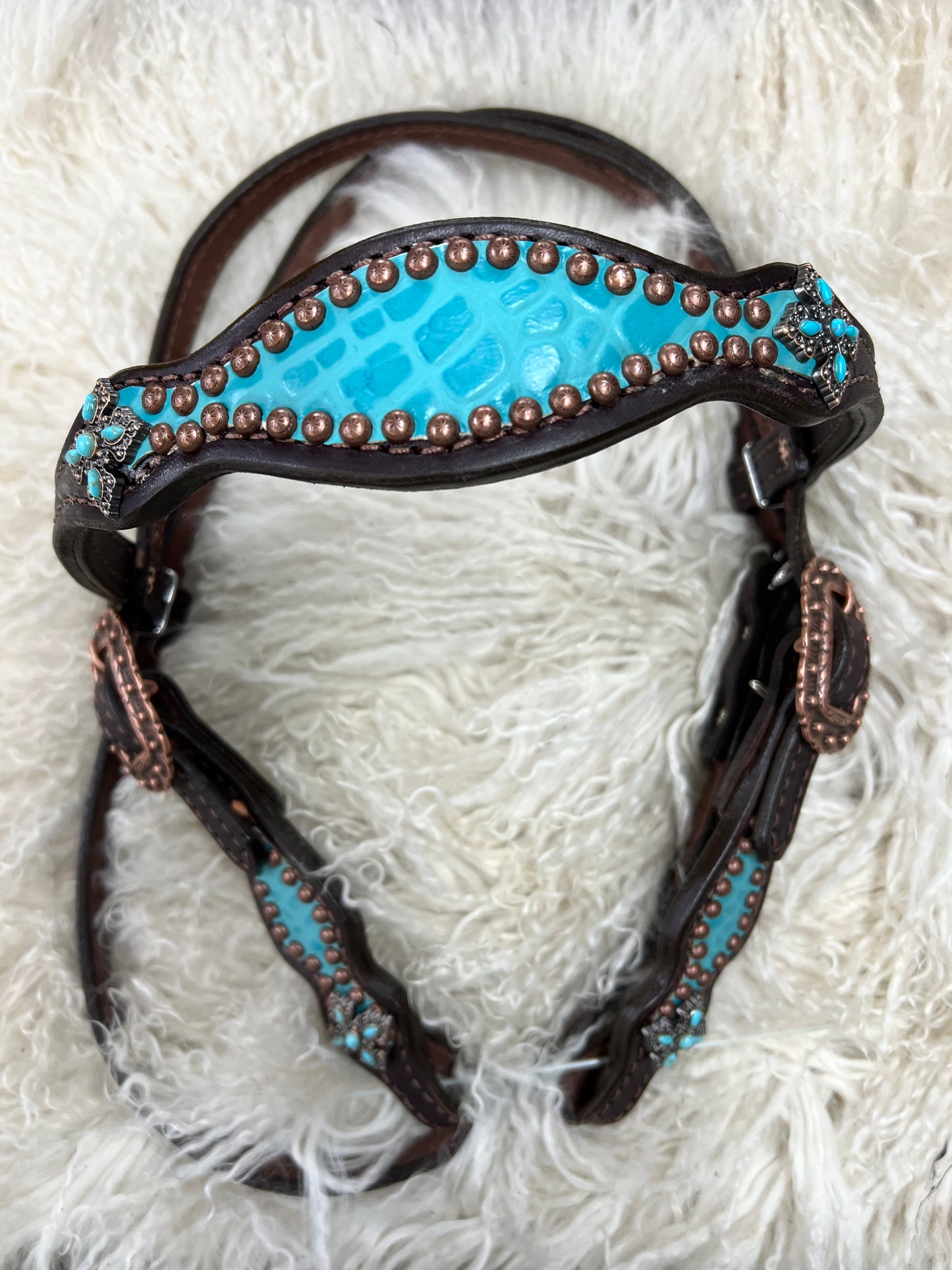 Turquoise gator on dark leather