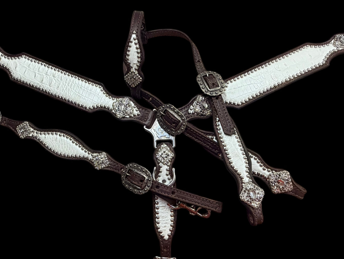White with silver tips gator on dark leather