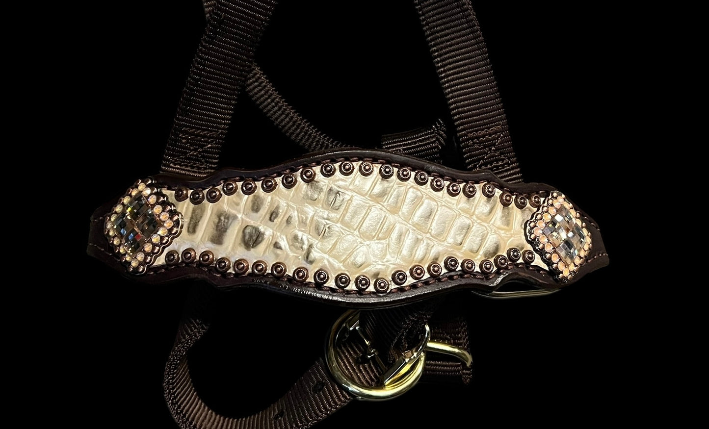Champagne gator on dark leather