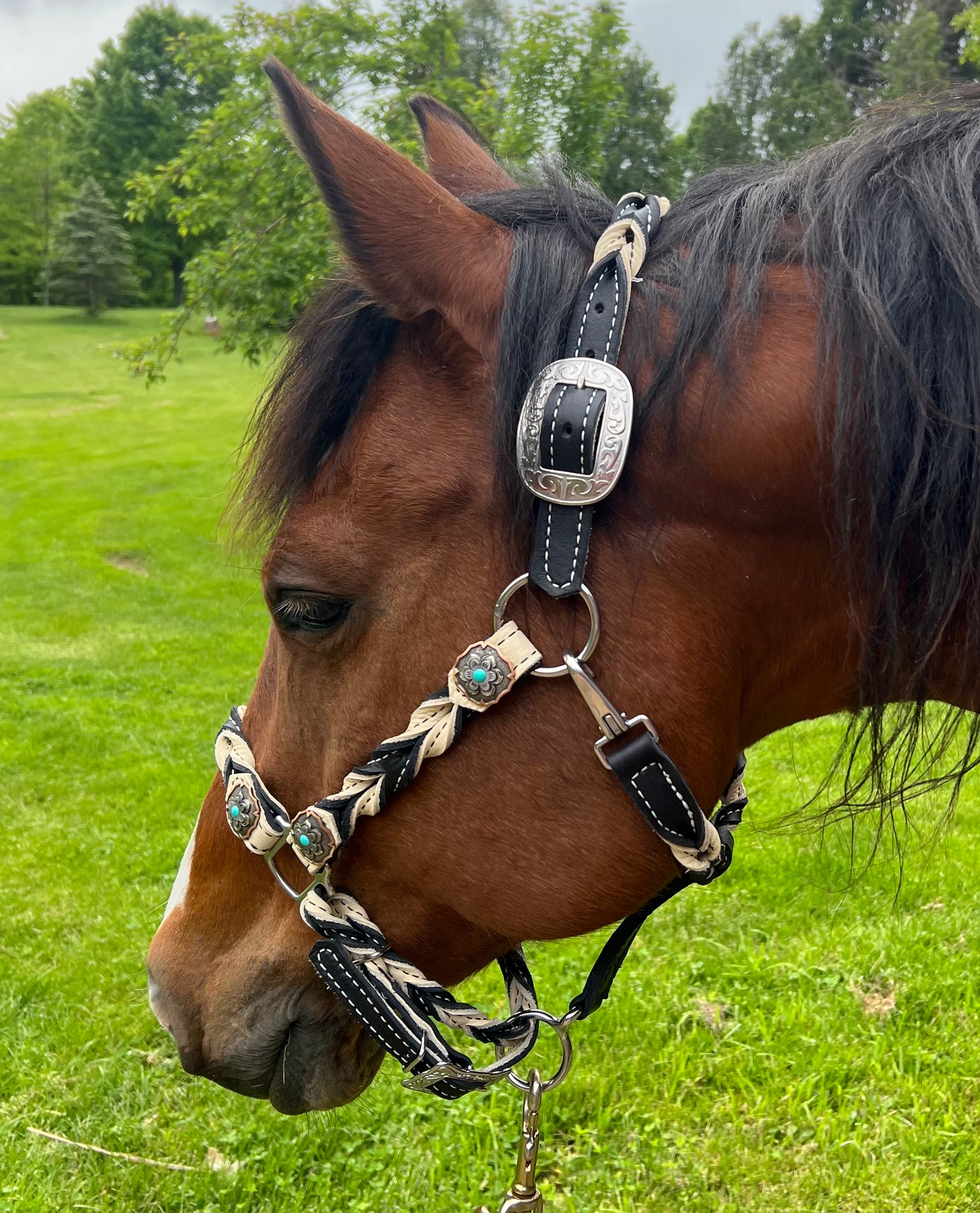 Super Soft Leather Halter