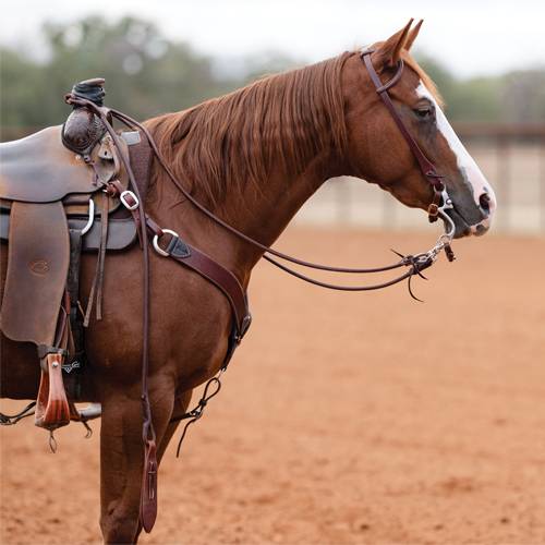 Ranch Heavy Oil Romal Reins