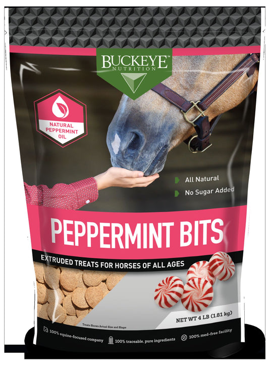 BUCKEYE NUTRITION HORSE TREATS