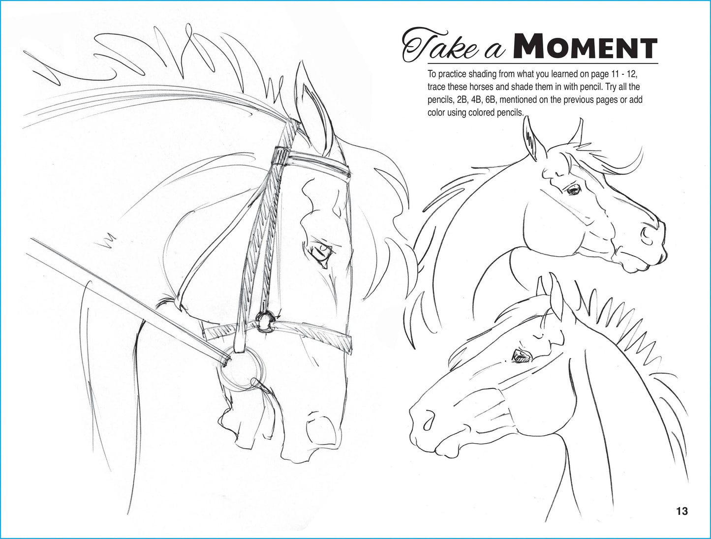 Art Book Horse Equestrian / Anyone Can Draw Horses / All age