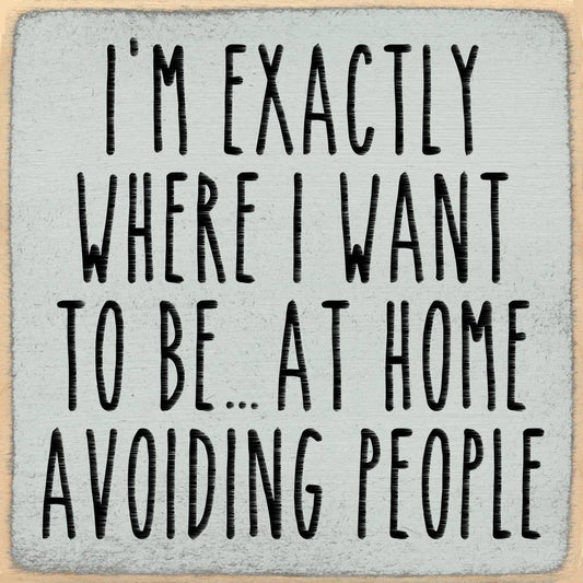 4x4-1058 Avoiding people Shelf Sitter