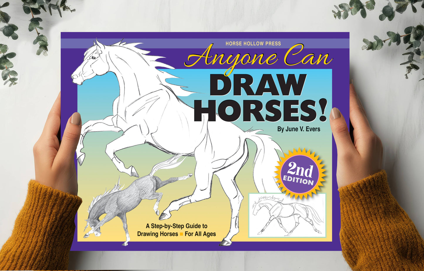 Art Book Horse Equestrian / Anyone Can Draw Horses / All age