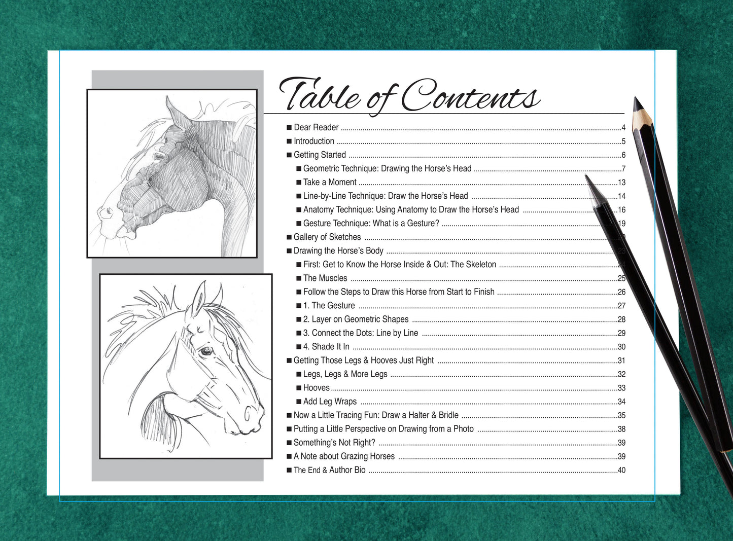 Art Book Horse Equestrian / Anyone Can Draw Horses / All age