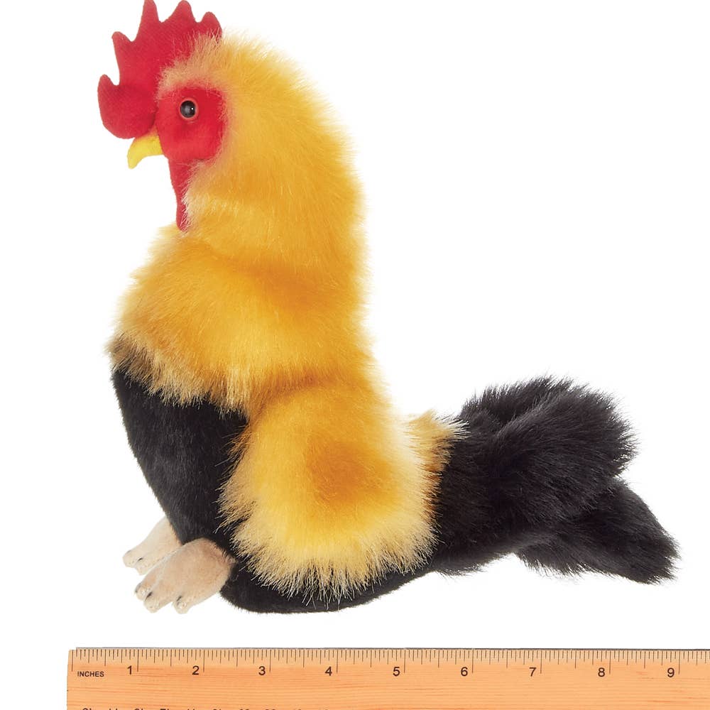 Roy the Rooster