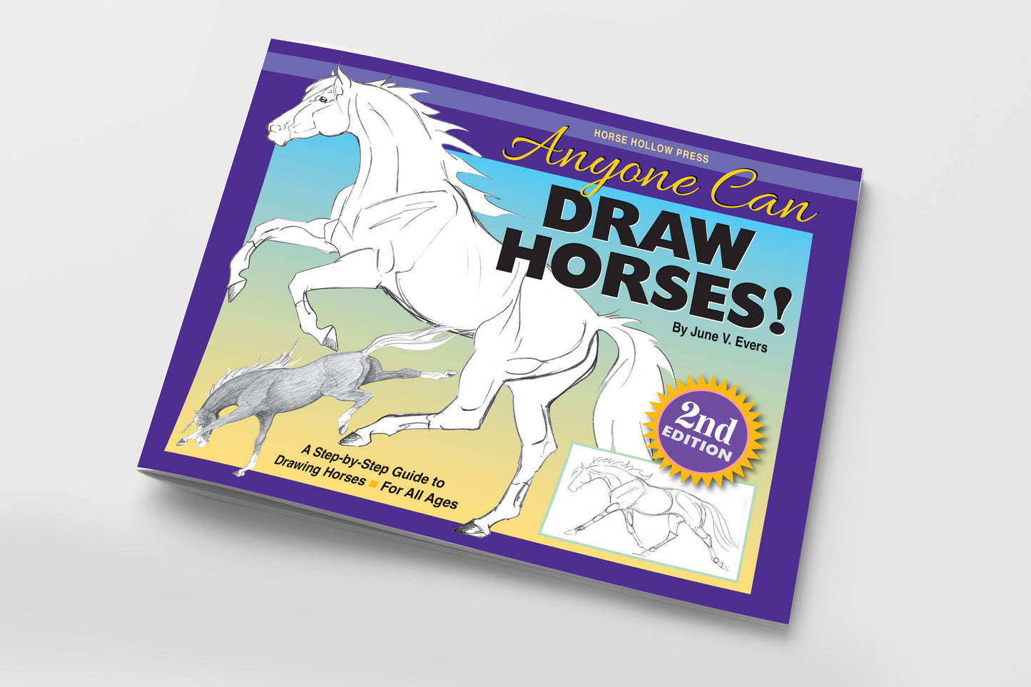Art Book Horse Equestrian / Anyone Can Draw Horses / All age