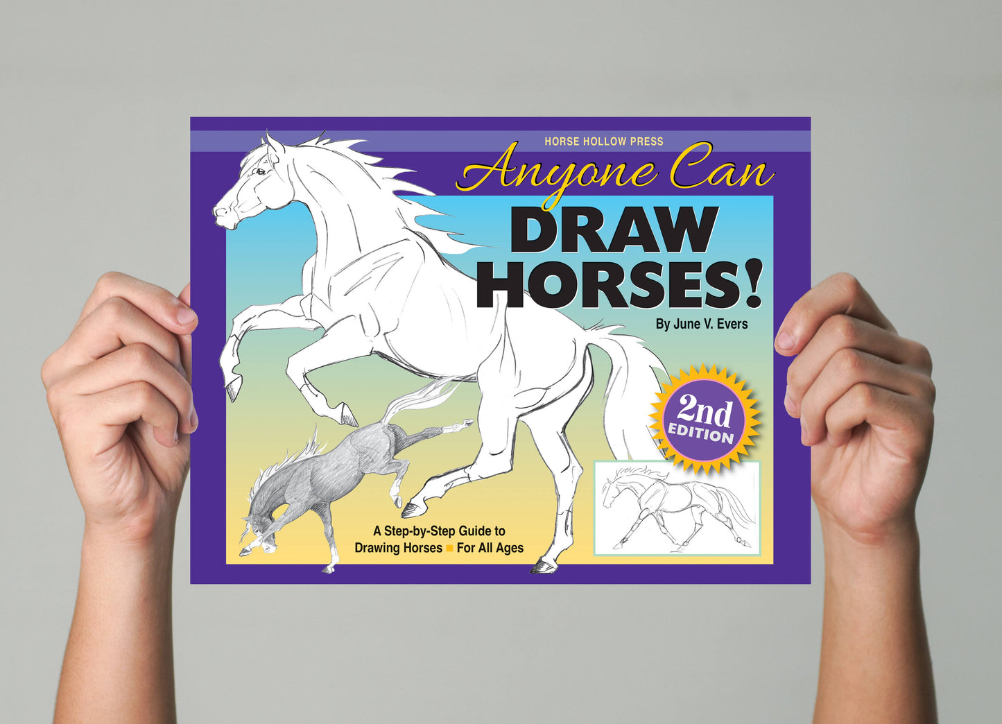Art Book Horse Equestrian / Anyone Can Draw Horses / All age